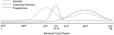 Current evidence shows no influence of women's menstrual cycle phase on acute strength performance or adaptations to resistance exercise training